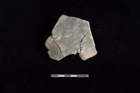 陶片藏品圖，第1張